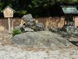 �����O�Y���������̒n