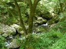 神庭の滝自然公園：園内