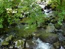 神庭の滝自然公園：園内